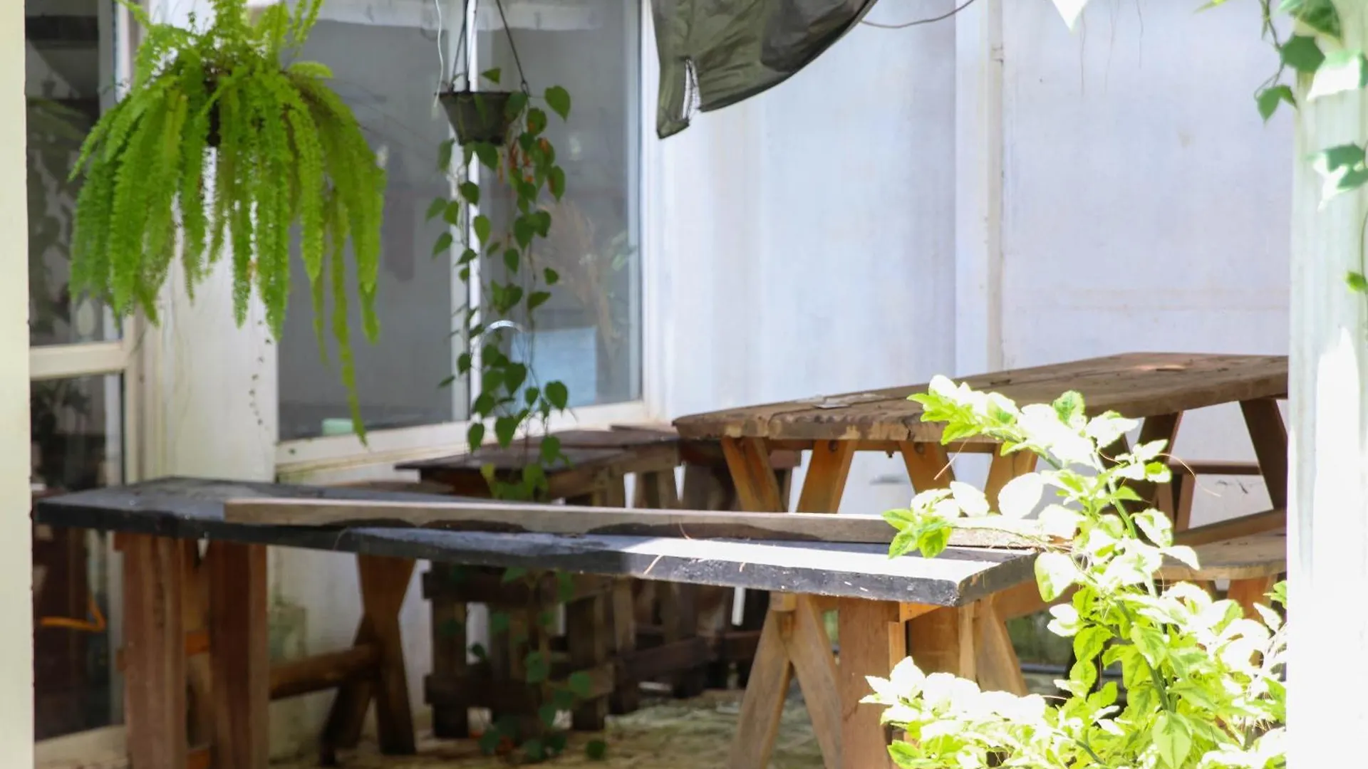 The Kings Bay Hotel By Silvas Negombo